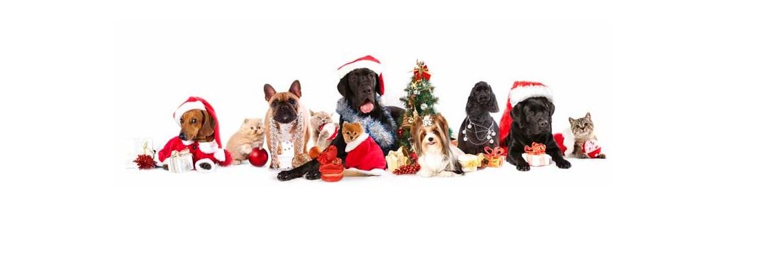 Genoa Animal Hospital