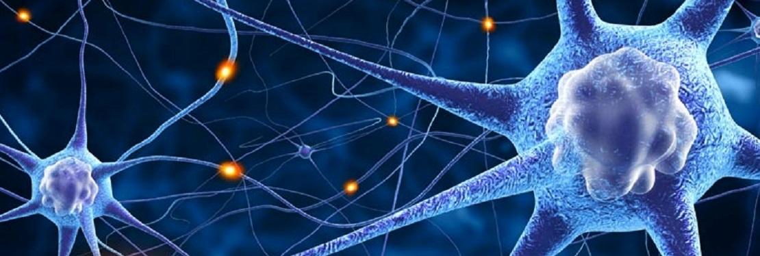 Abbey Neuropsychology Clinic