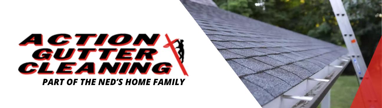 Action Gutter Cleaning Cumming, GA