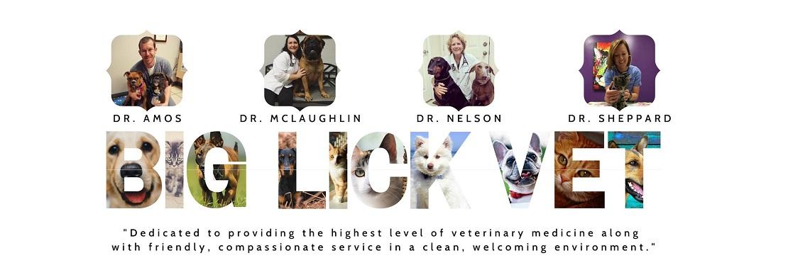 Big Lick Veterinary Services
