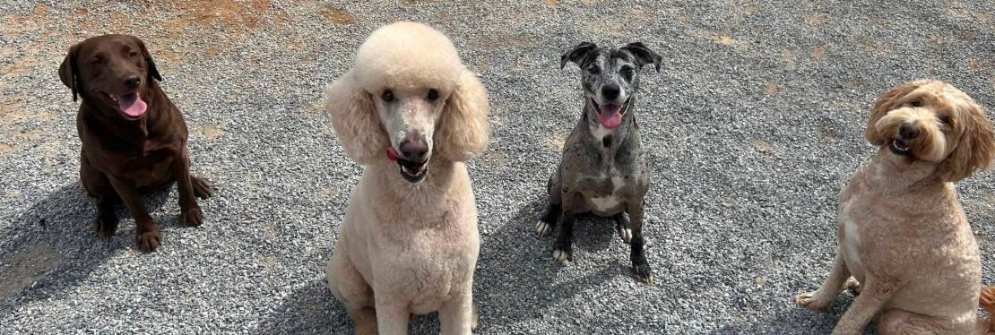 Crestview Veterinary Hospital