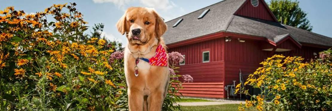 Ansonia Westfield Veterinary Hospital