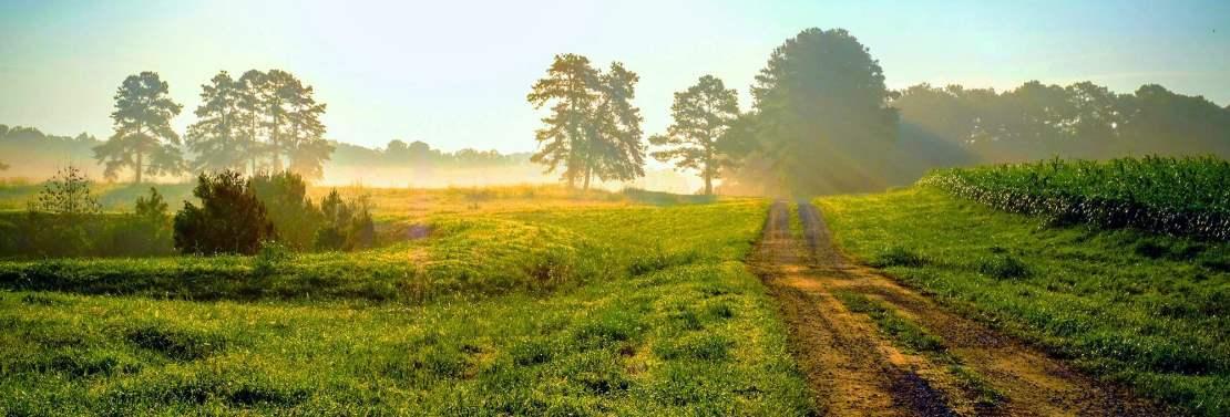 Colorado Oral Surgery Group