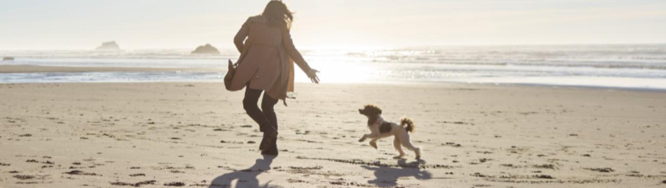 Memorial Veterinary Hospital - Throop