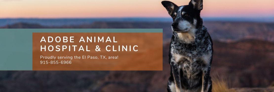 Adobe Animal Hospital and Veterinary Clinic