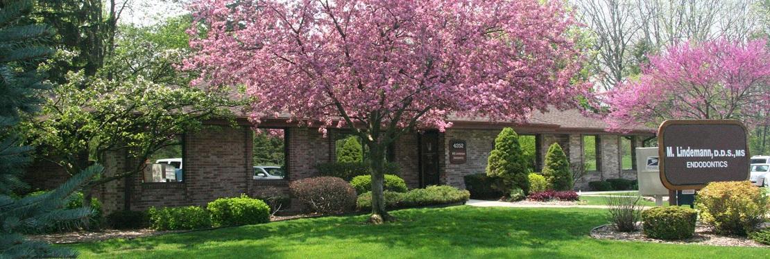 Lindemann Root Canal Specialists