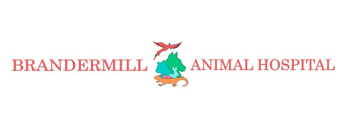 Brandermill Animal Hospital