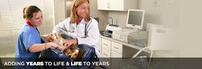 Animal Medical Care