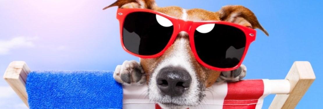 Balboa Veterinary Medical Center