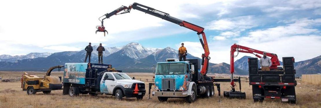 Splintered Forest Tree Services