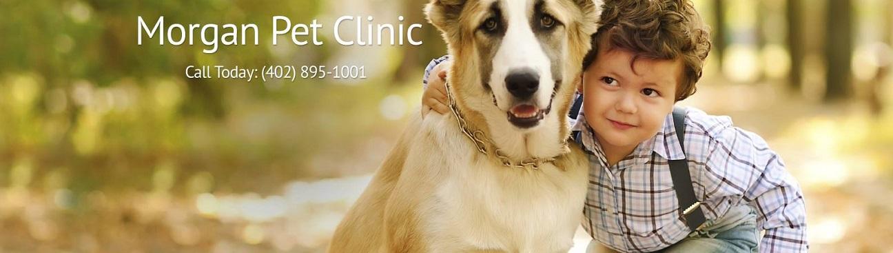 Morgan Pet Clinic