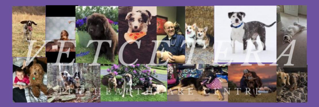 Vetcetera Pet Healthcare Centre