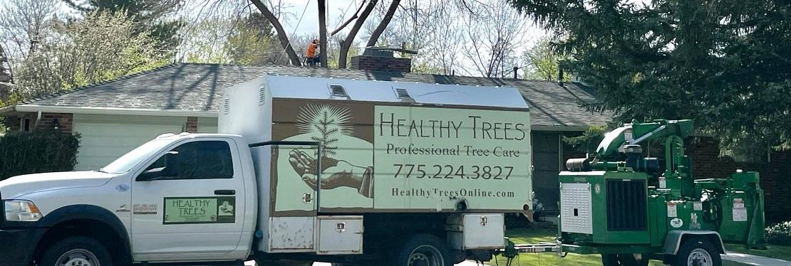 Healthy Trees