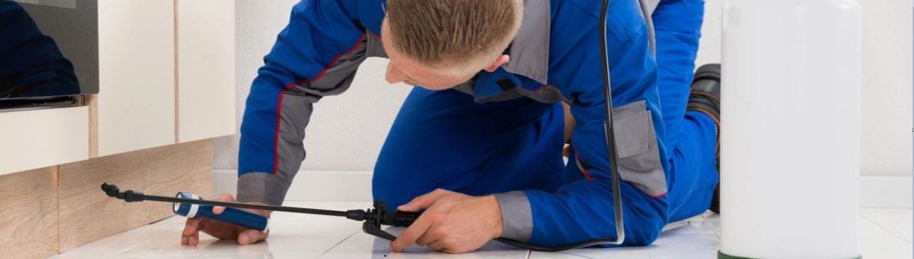 Dolphin Pest Control