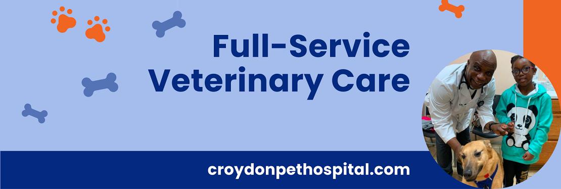 Croydon Pet Hospital