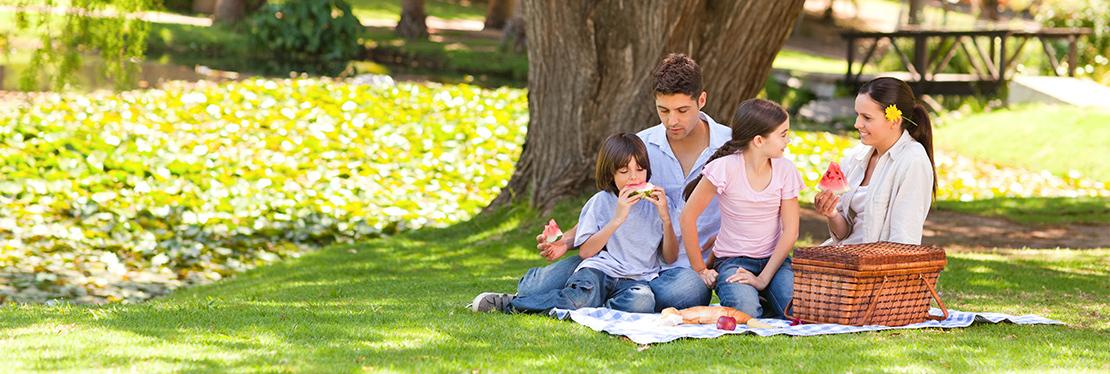 Blue Oak Insurance Agency