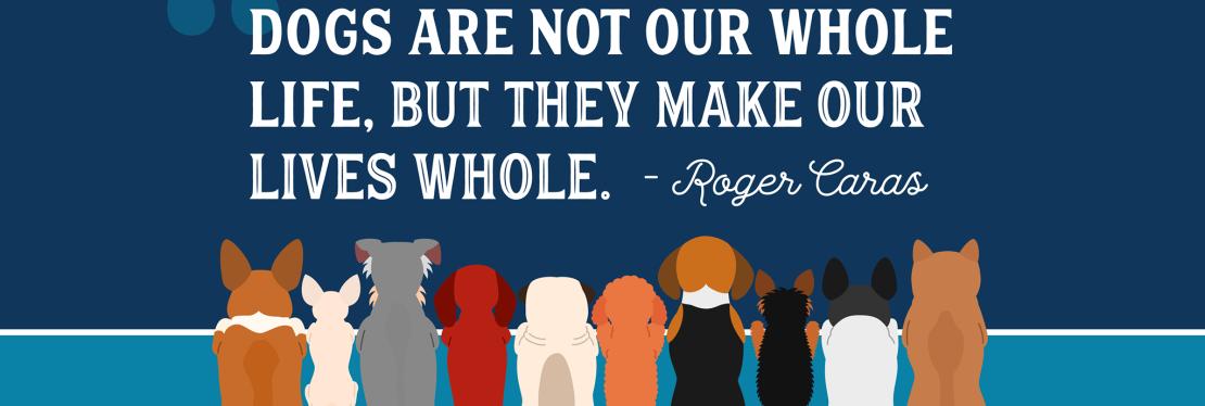 Elko Veterinary Clinic