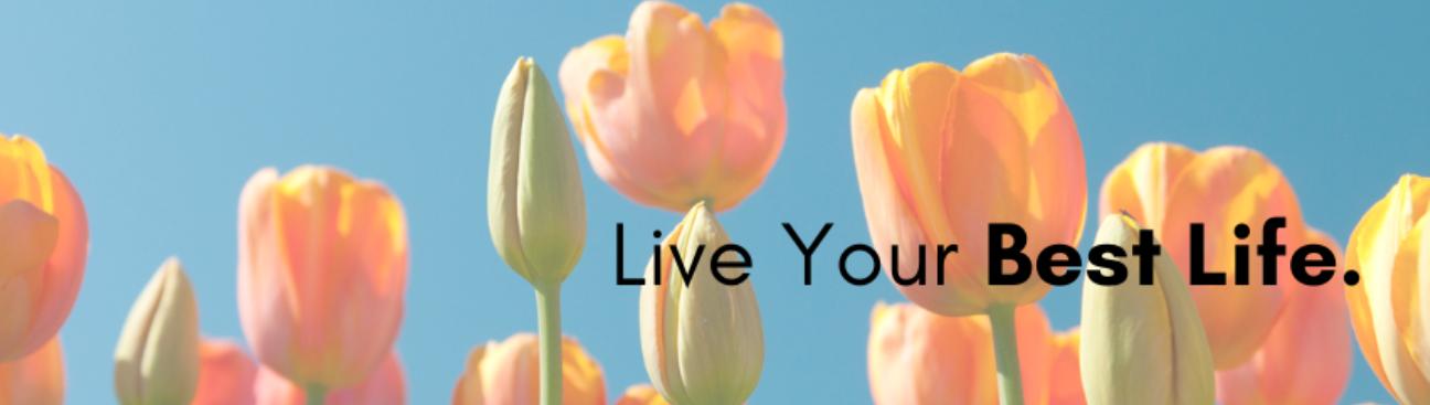 Sundance Property Management