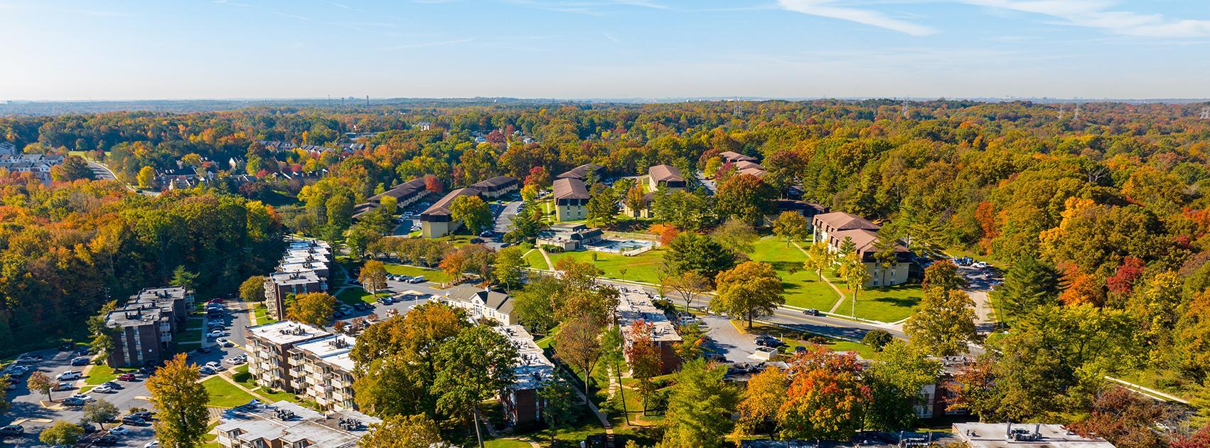 Simpson's Olde Towne Insurance