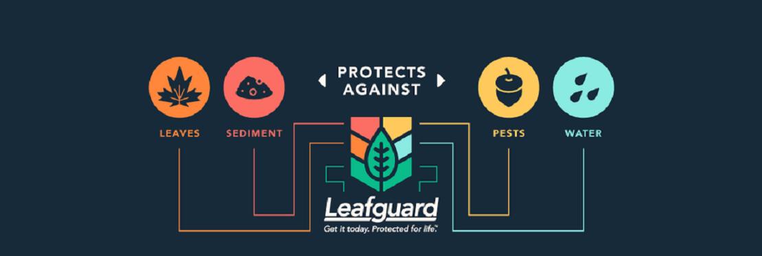 Leafguard Gutter Protection