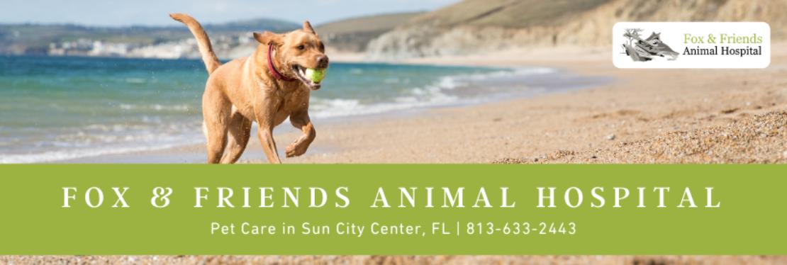 Fox & Friends Animal Hospital