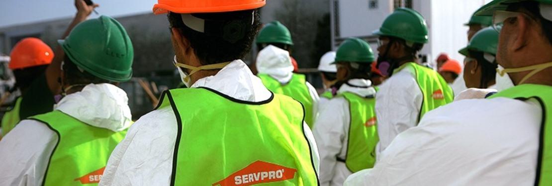 Servpro Ventura