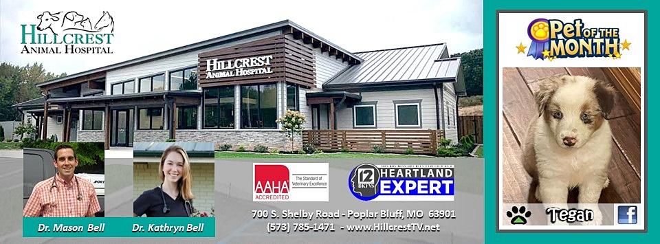 Hillcrest Animal Hospital