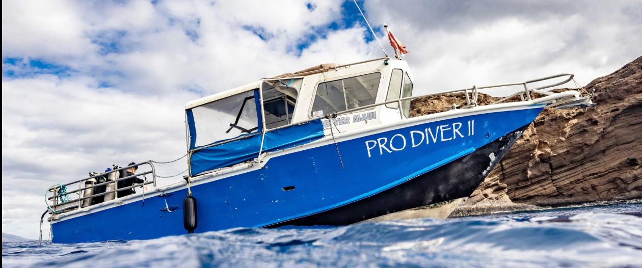 Yonegan Pro-Diver Maui