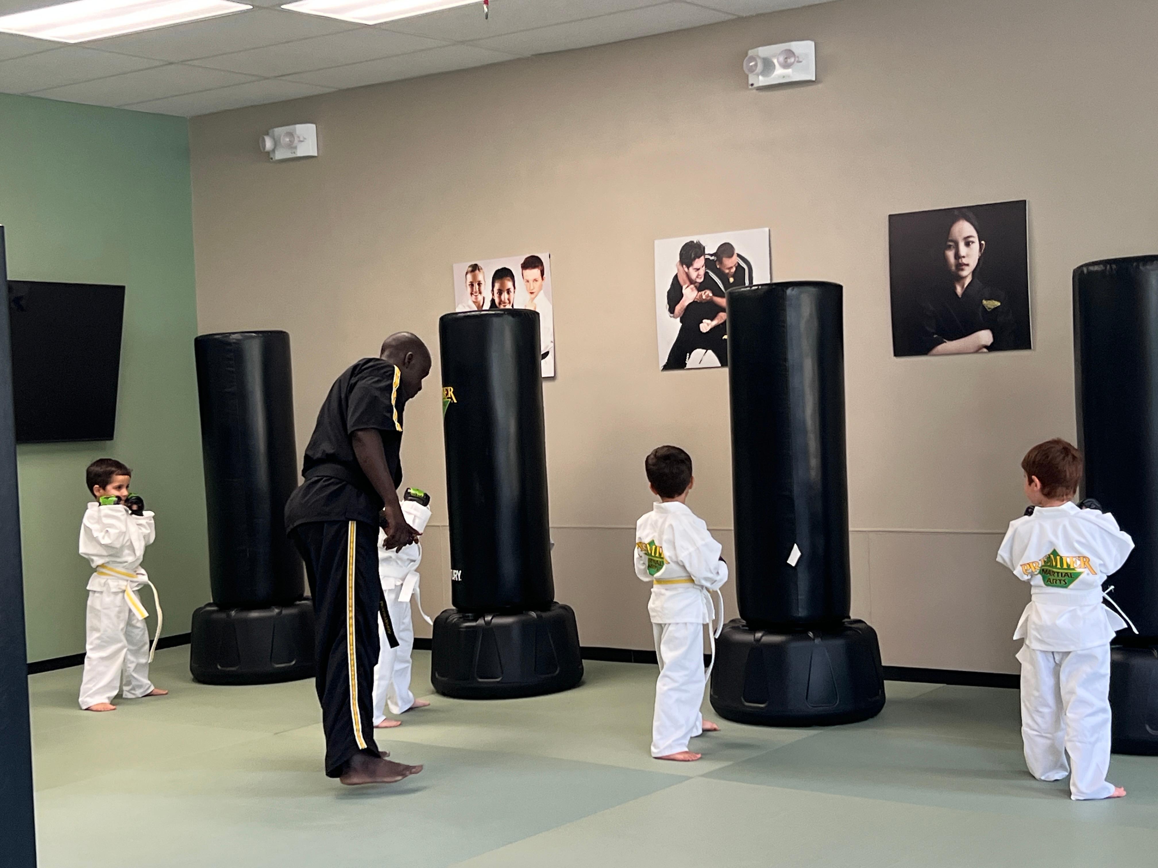Premier Martial Arts Scarsdale