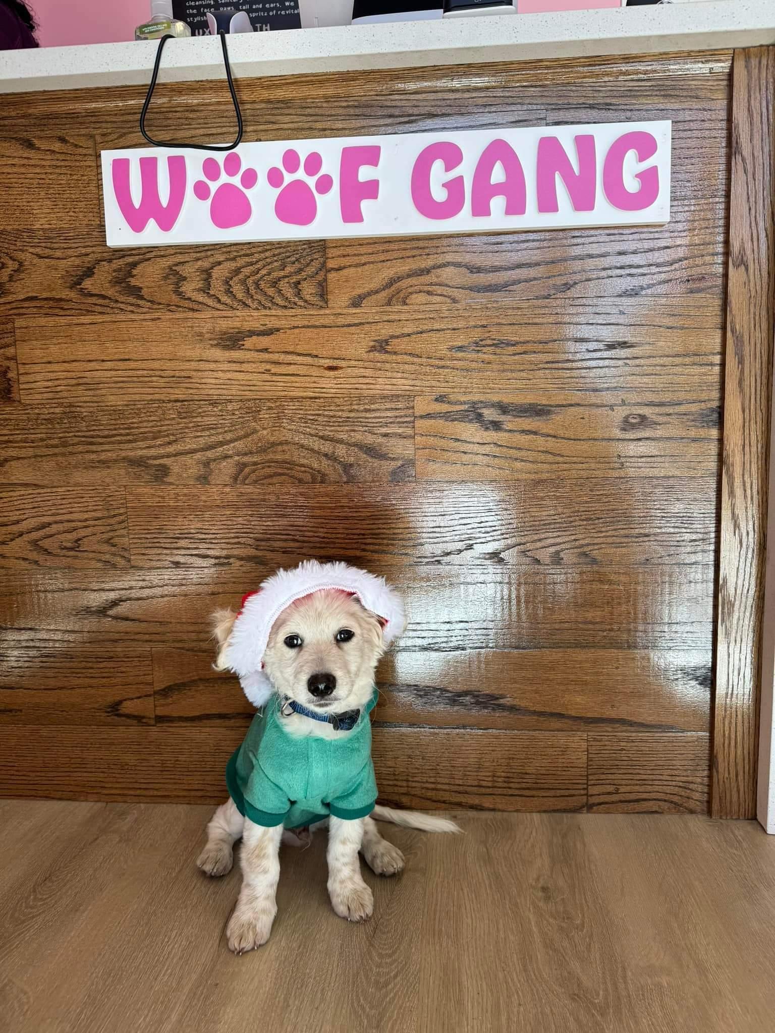 Woof Gang Bakery & Grooming Energy Corridor