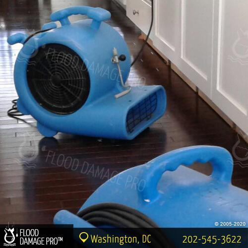 Flood Damage Pro Washington DC