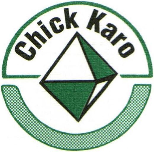 Chick & Karo CPA's PA