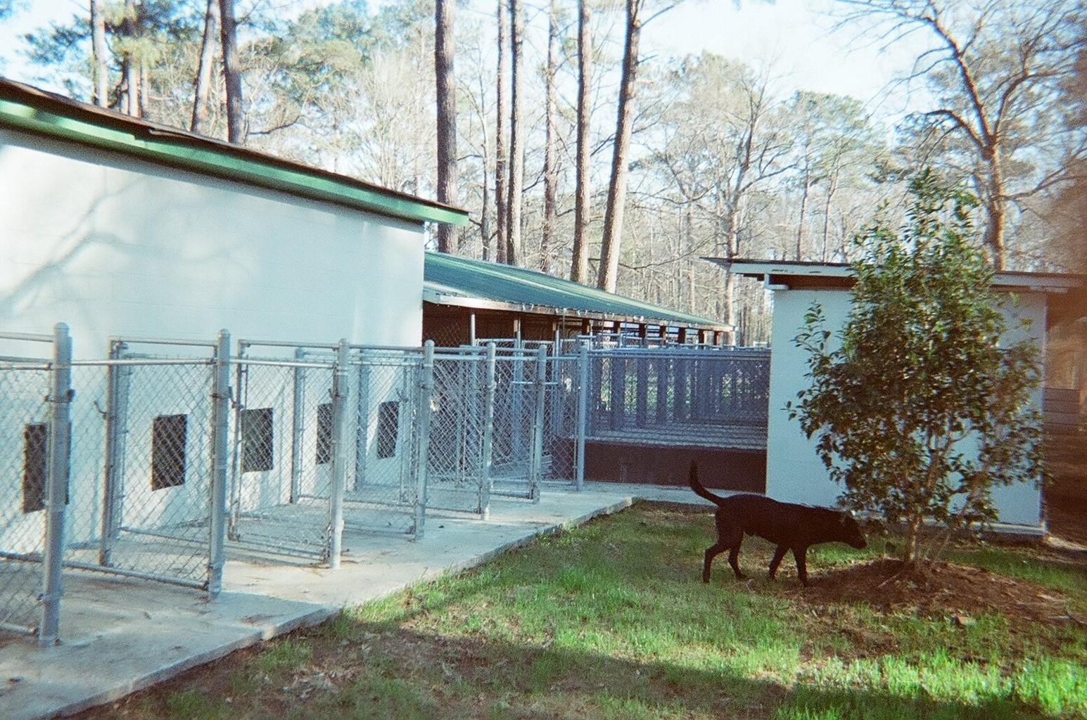 Andy's kennel.